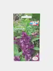 Семена Седек бальзамина садового "Сандра"