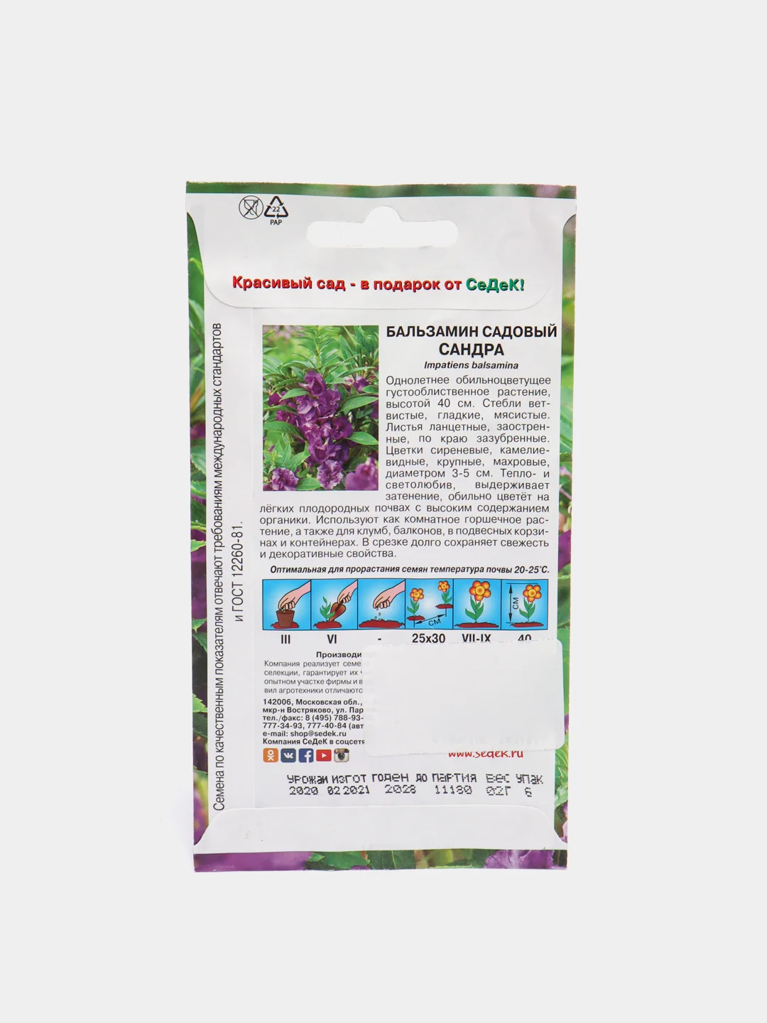 Семена Седек бальзамина садового "Сандра"