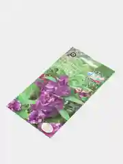 Семена Седек бальзамина садового "Сандра"