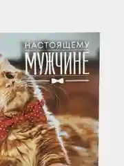 Шоколадный открытка-инстаграм "Прикол", 8.8 х 10.7 см