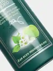 Зеленый шампунь для роста волос ослабленных, окрашенных, против перхоти "Фитотерапия", 500 мл