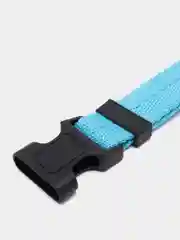 Голубой ошейник для собак