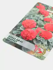 Семена Биотехника, Пеларгония Буллз ай F1 Скарлет