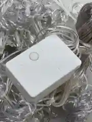 Конфетный гирлянда светодиодная (LED) "Занавес" с контроллером 220В