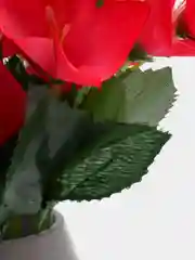 Фуксия искусственные цветы гавайские гибискус