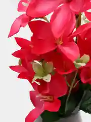 Фуксия искусственные цветы гавайские гибискус