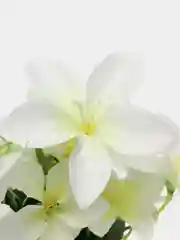 Аметистовый искусственные цветы гавайские гибискус