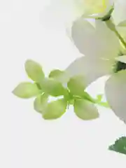 Аметистовый искусственные цветы гавайские гибискус