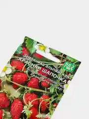 Земляника "Красная шапочка" альпийская