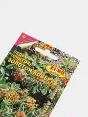 Седум очиток Золотой ковер (семена,цветы)