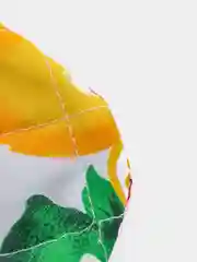 Оранжевый прихватка и варежка для кухни "Фрукты"