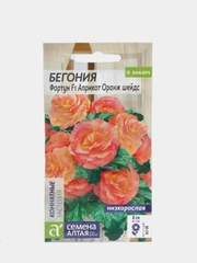 Семена цветов Бегония "Фортун априкот оранж шейдс"