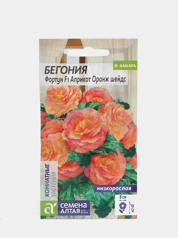 Семена цветов Бегония "Фортун априкот оранж шейдс"