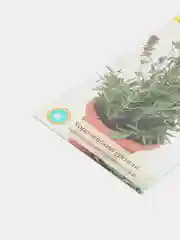 Иссоп лекарственный АМЕТИСТ 0,2г / Евро - семена