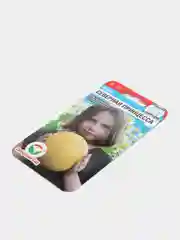 Семена "Дыня Северная принцесса"