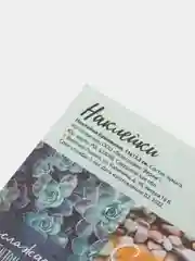 Тёмно-бирюзовый наклейки новогодние для ежедневника, цветов и подарков на Новый год