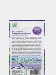 Семена цветов Астра "Пампушка", голубичная, помпонная
