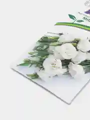 Семена партнер Эустома Мадам бриджит (цветы)