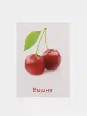 Серый обучающие карточки по методике Глена Домана "Общее развитие"