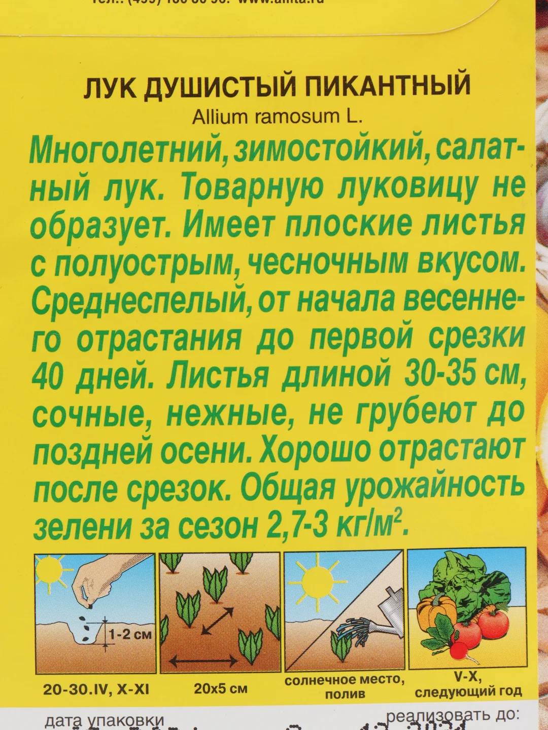 Лук Пикантный душистый (семена)