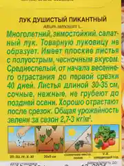 Лук Пикантный душистый (семена)