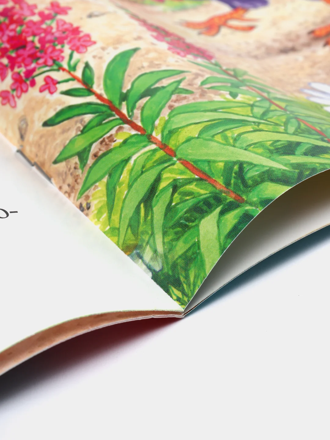 Коралловый книга Сказки для детей