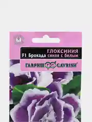 Глоксиния Брокада синяя с белым (семена,цветы)