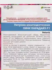 Петуния Пинк парадайз, семена, цветы