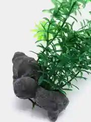 Растение для аквариума Tetra "Элодея Anacharis", 30 см