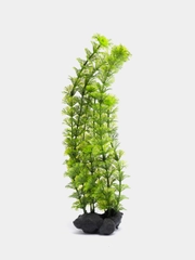 Растение для аквариума Амбулия (Ambulia), 30 см (TETRA)