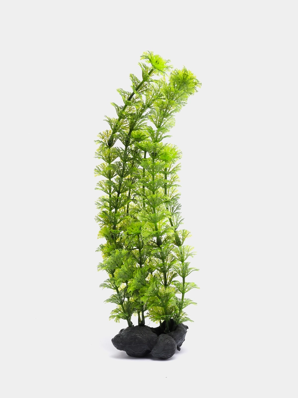 Растение для аквариума Амбулия (Ambulia), 30 см (TETRA)