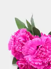 Сиреневый искусственные цветы, хризантемы