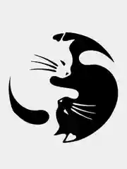 Наклейка "Кошка: Инь и Ян"