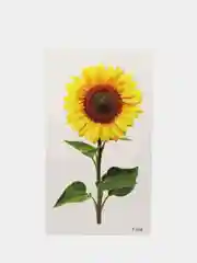 Коралловый временная переводная татуировка, 60*105 мм