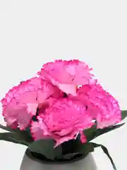 Тёмно-розовый искусственные цветы, хризантемы