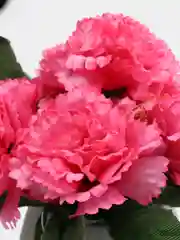 Кораллово-розовый искусственные цветы, хризантемы