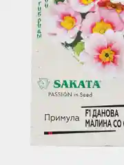 Примула Данова малина со сливками (семена,цветы)