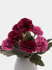 Марсала искусственные цветы, гвоздики