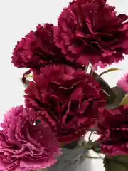 Марсала искусственные цветы, гвоздики