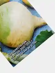 Брюква Светлая мечта(семена седек)
