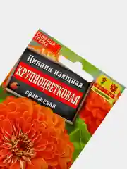 Семена Цинния "Крупноцветковая оранжевая"