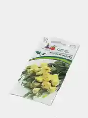 Семена партнер Эустома Мадам ноулз, цветы