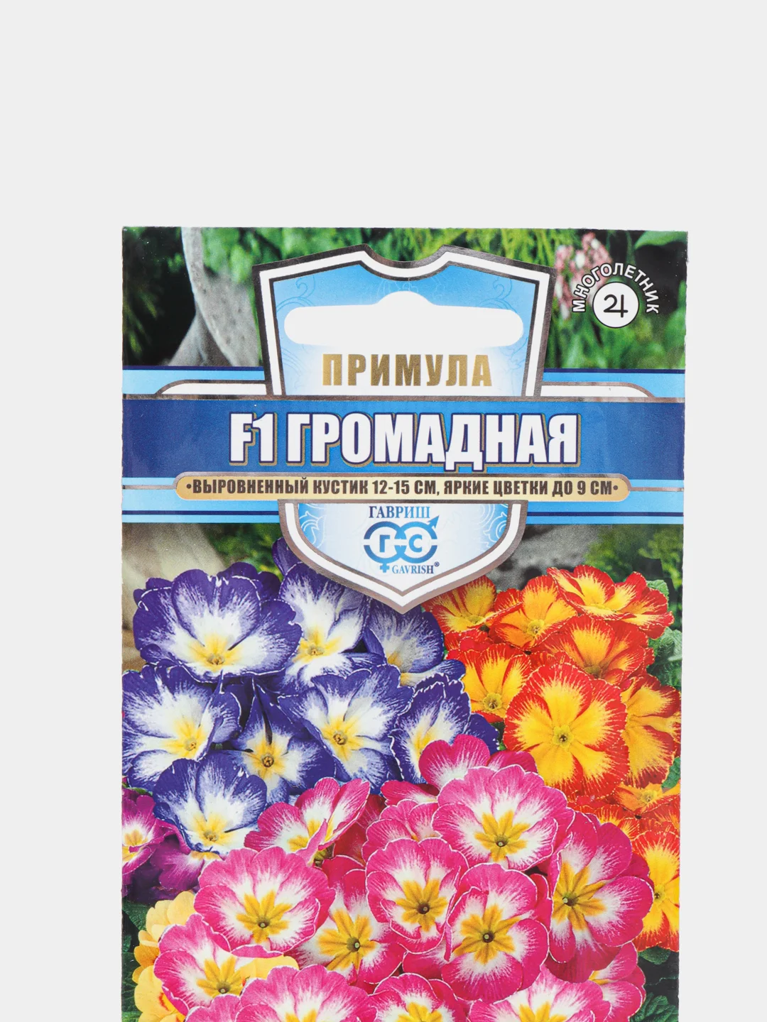 Примула Громадная (семена,цветы)