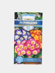 Примула Громадная (семена,цветы)