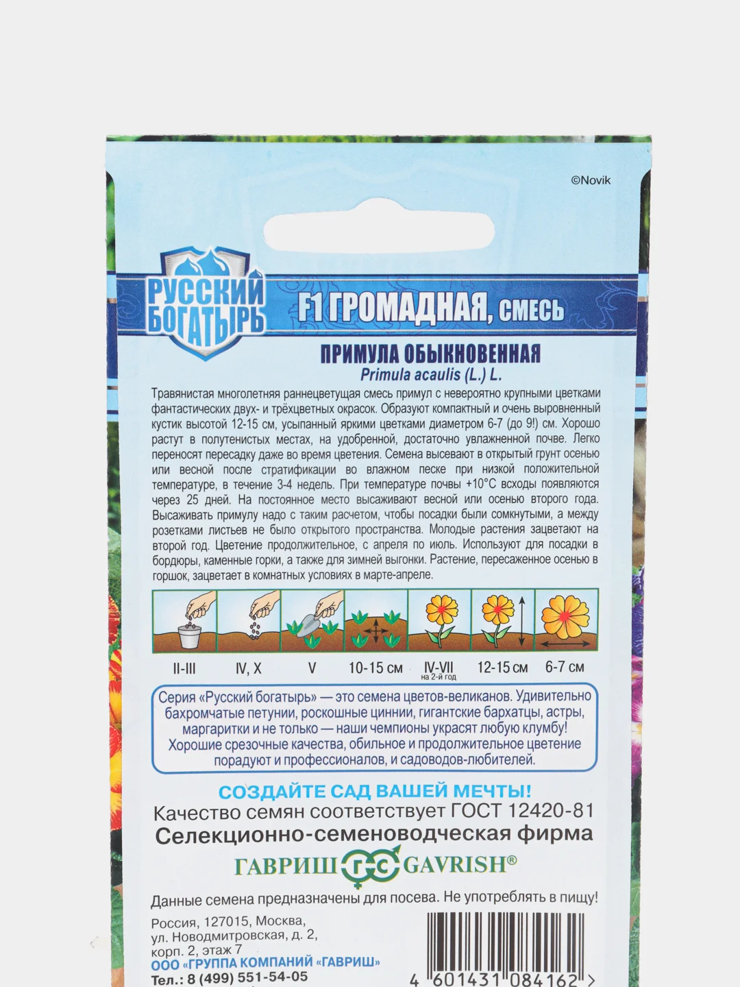 Примула Громадная (семена,цветы)