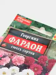 Семена Георгина смесь сортов "Фараон"