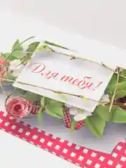 Коралловый меланж конверты для денег Женские 8,2х17 см (10 Штук)