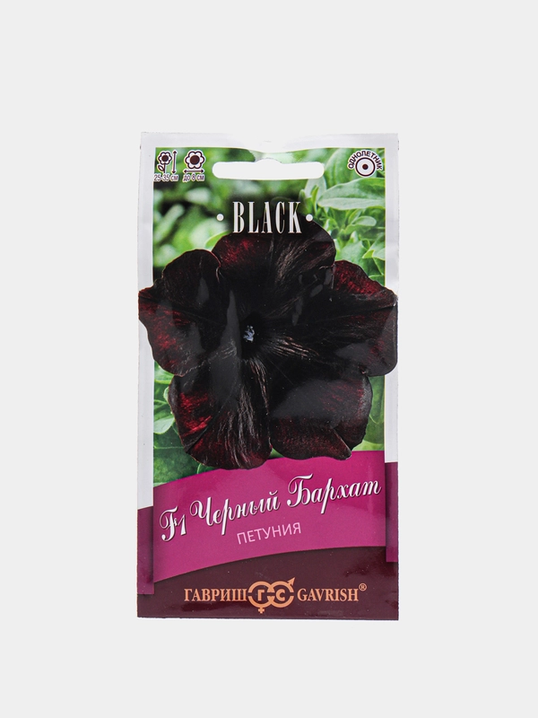 Петуния Черный бархат (семена,цветы)