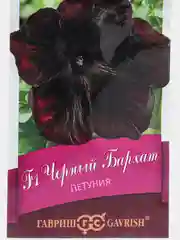 Петуния Черный бархат (семена,цветы)