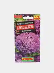 Астра "Александрия Фиолетовая", семена